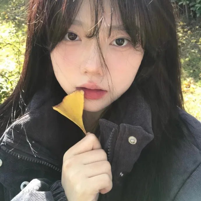 追星星的人2