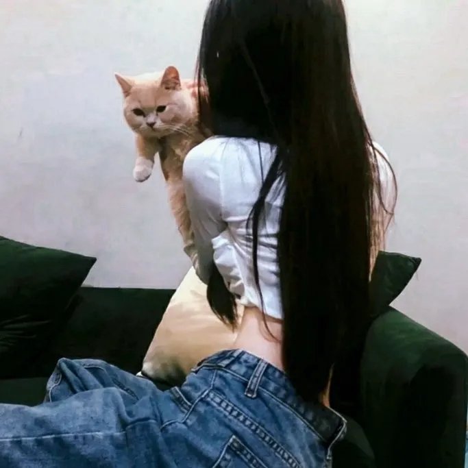 禁爱风暴